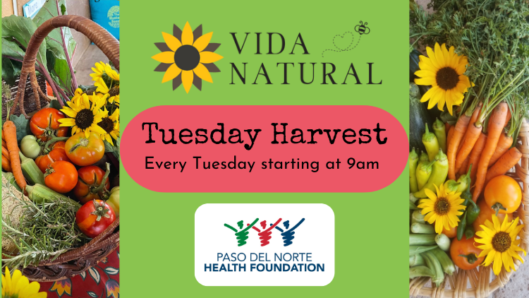 Join us for Tuesday Harvest!