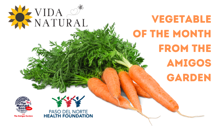 Vida Natural: Vegetable of the Month – CARROTS!
